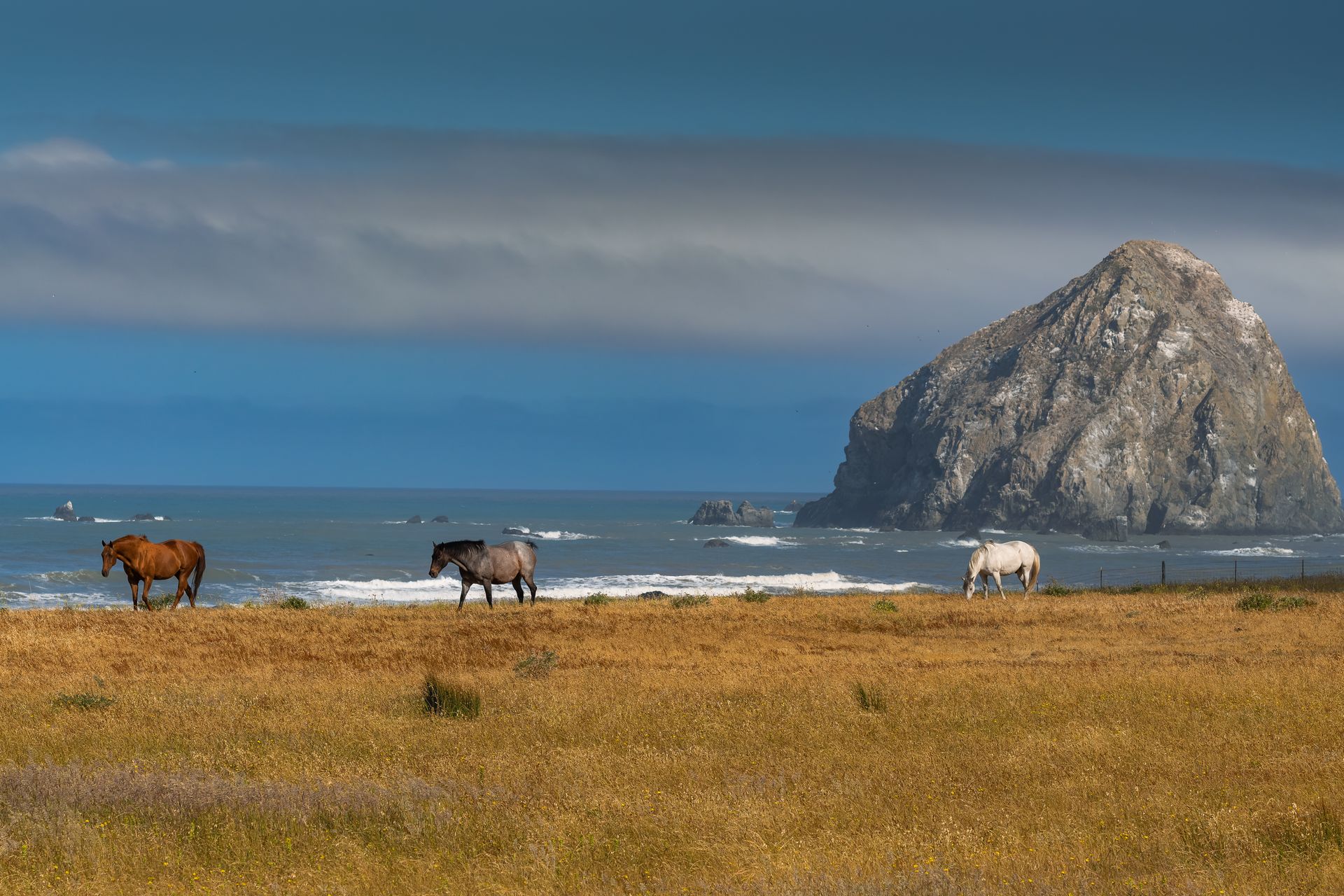 Scenic view of wild horses grazing by the ocean with a rocky landmark in the background.