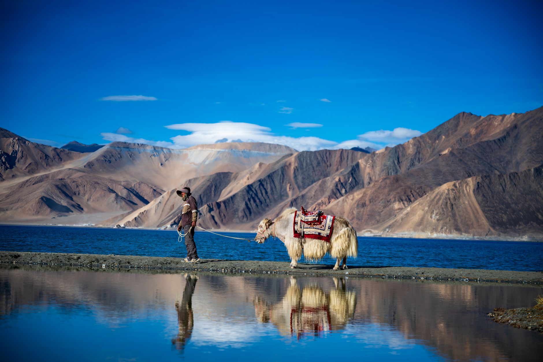 YAK, MAN AND THE LAKE