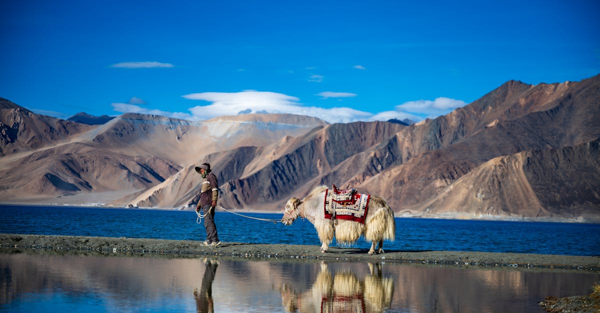 近8百萬國際旅客遊台灣 年消費突破3千億 吸客秘訣大公開