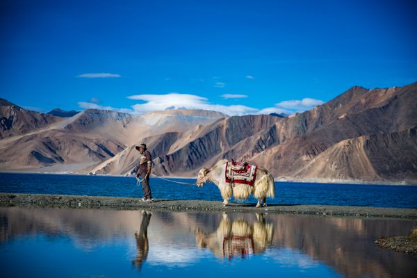 Nubra Valley & Diskit Tour holiday package