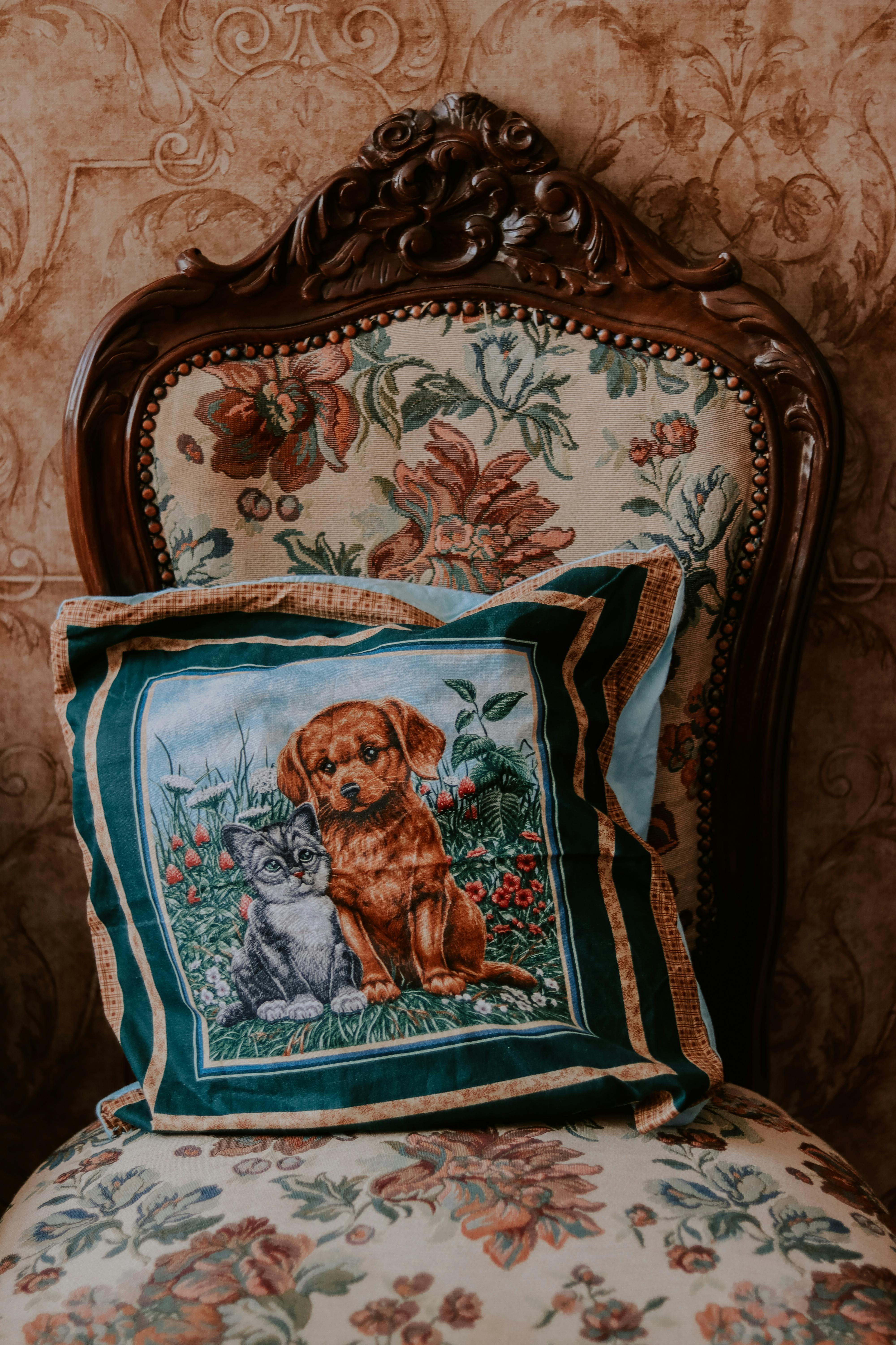 Сколько по времени нужно гулять с ксолоитцкуинтли?