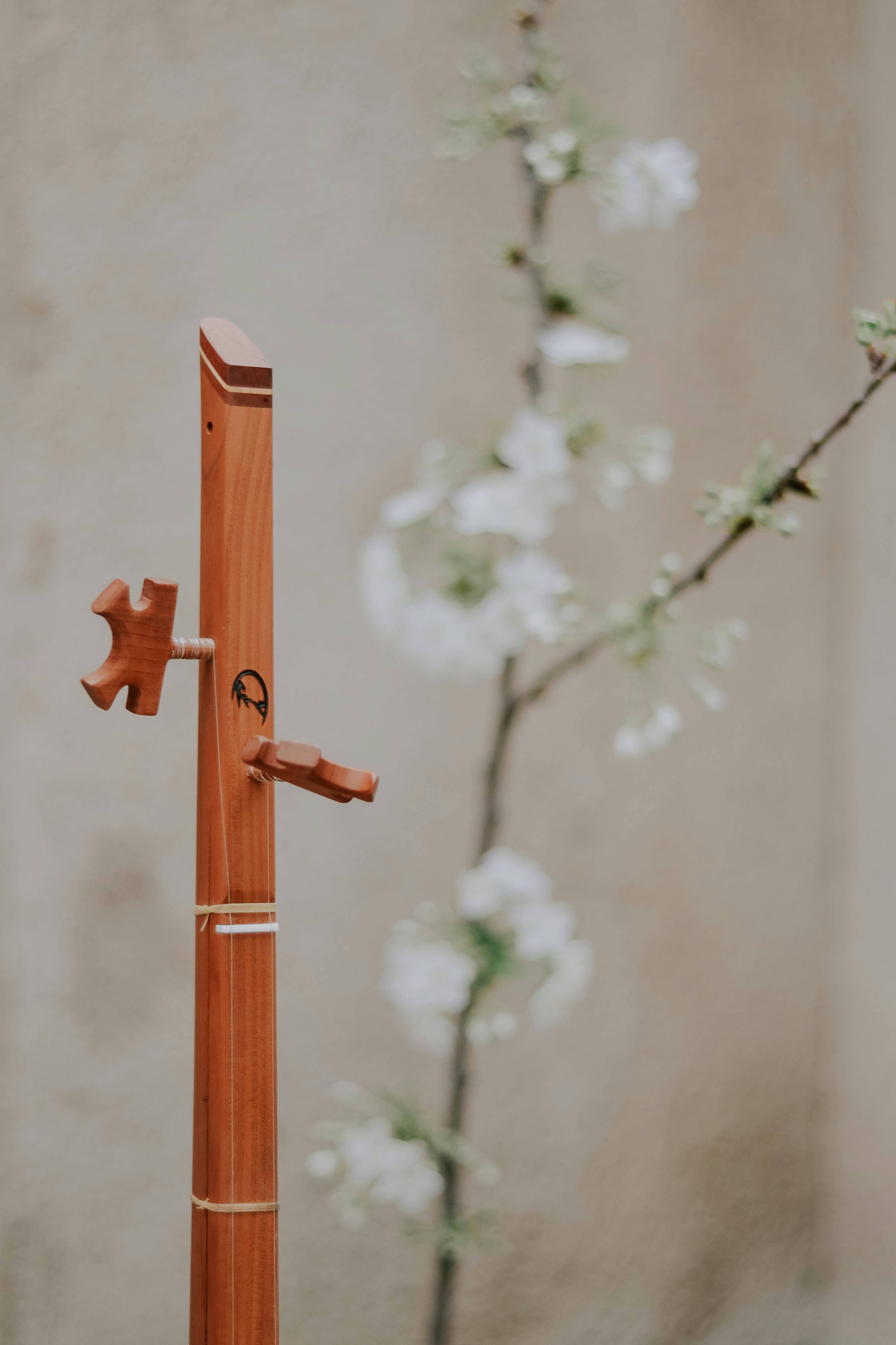 Runic Texture Photos, Download The BEST Free Runic Texture Stock Photos ...