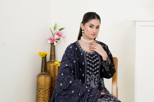 Free Portrait of a woman in elegant traditional attire, showcasing South Asian fashion. Stock Photo