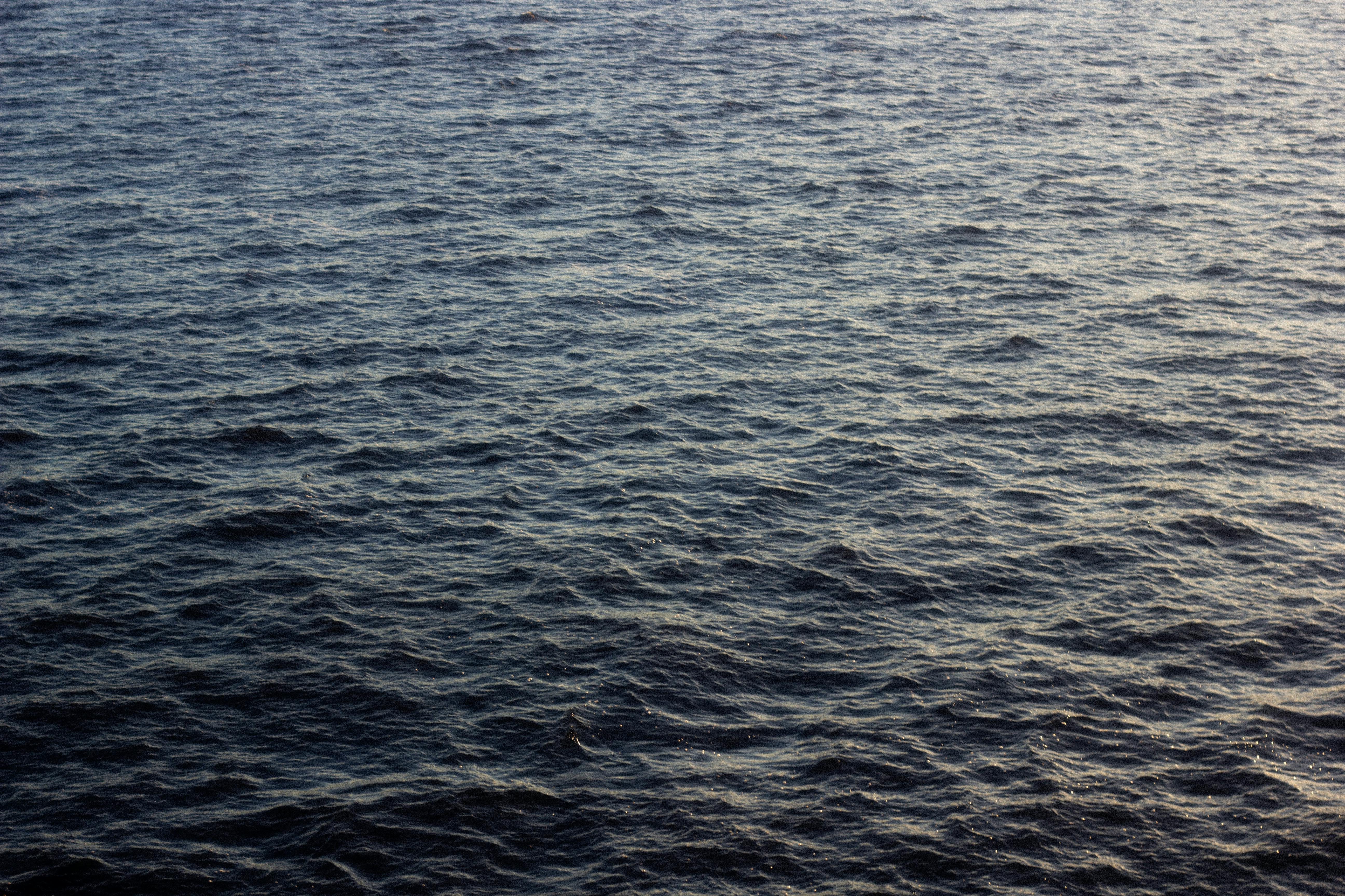 De franc Una vista serena de les ones de l'oceà brillants sota el sol brillant, perfecta per a fons de pantalla calmants. Foto d'estoc