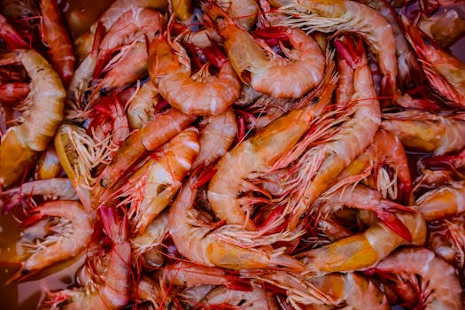 Crustaceans, shrimp, farm raised, raw