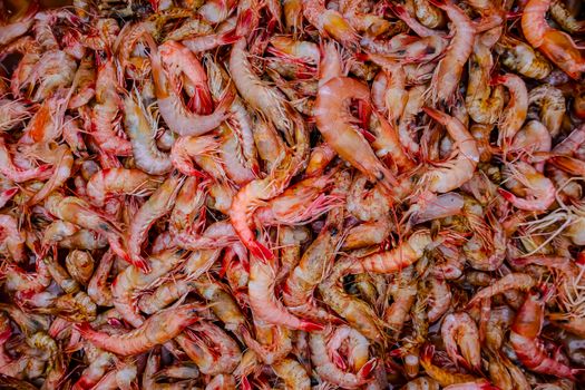Close-up of a pile of fresh shrimp at a seafood market, highlighting texture and color.