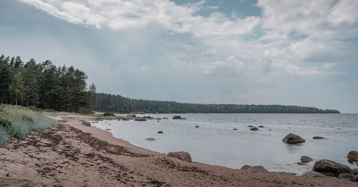 Photo of Estonia