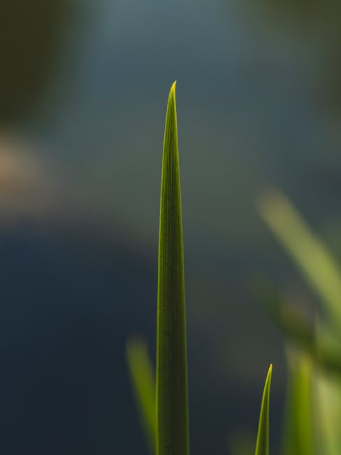 돌싱글즈 시즌 4 시청률