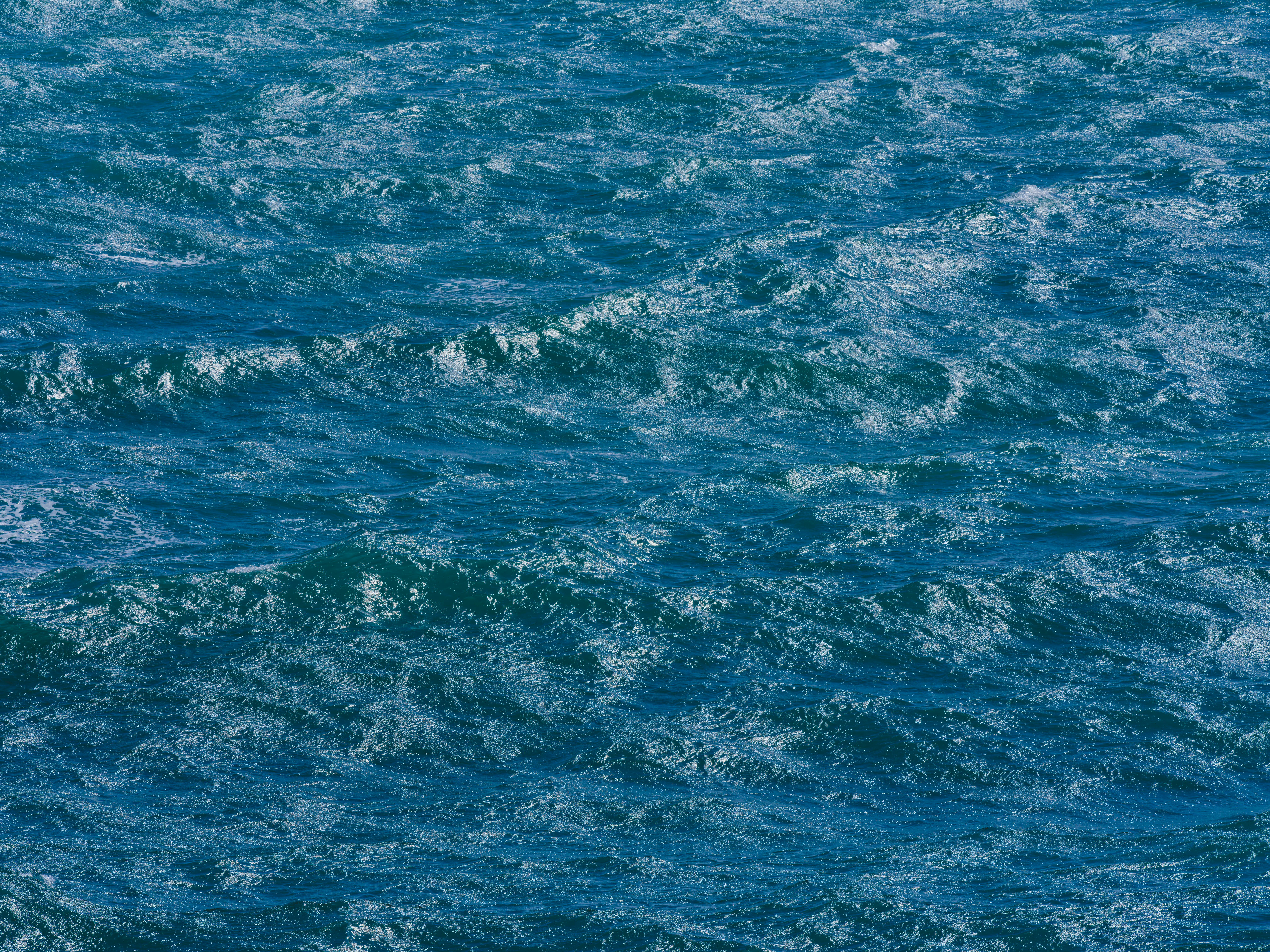 Dynamic ocean waves with sunlight reflection creating a vivid, textured sea surface.