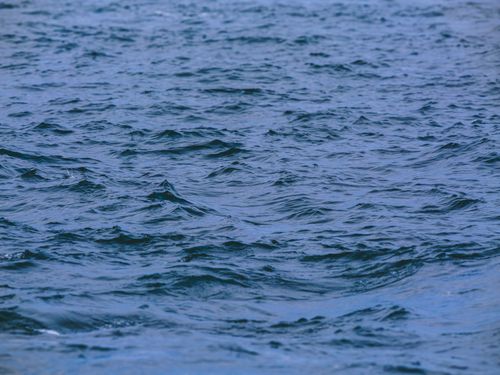 Free Peaceful ocean waves under clear blue sky, perfect for nature and travel themes. Stock Photo