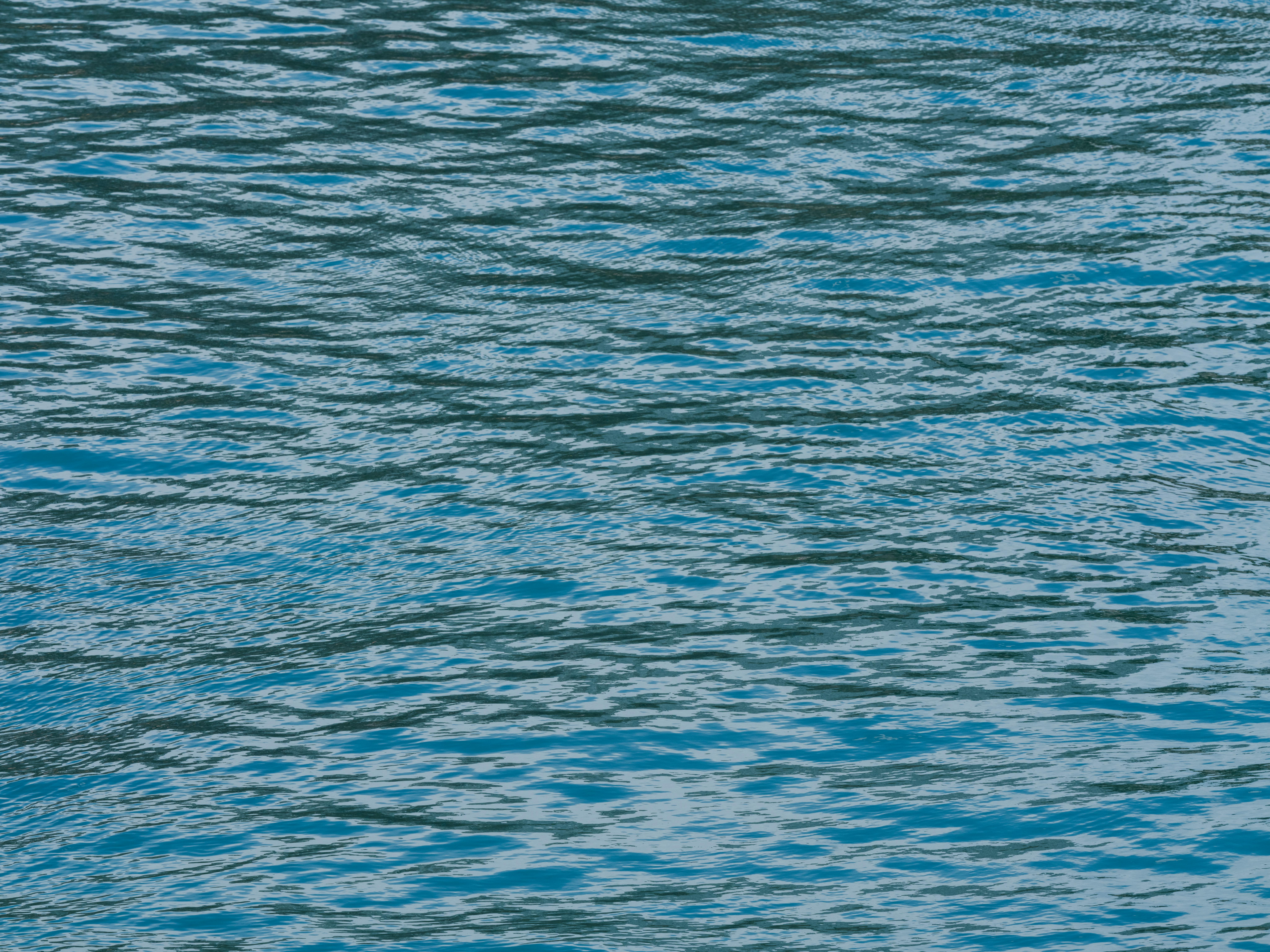 Membuat Accordion (FAQ Section) yang Interaktif