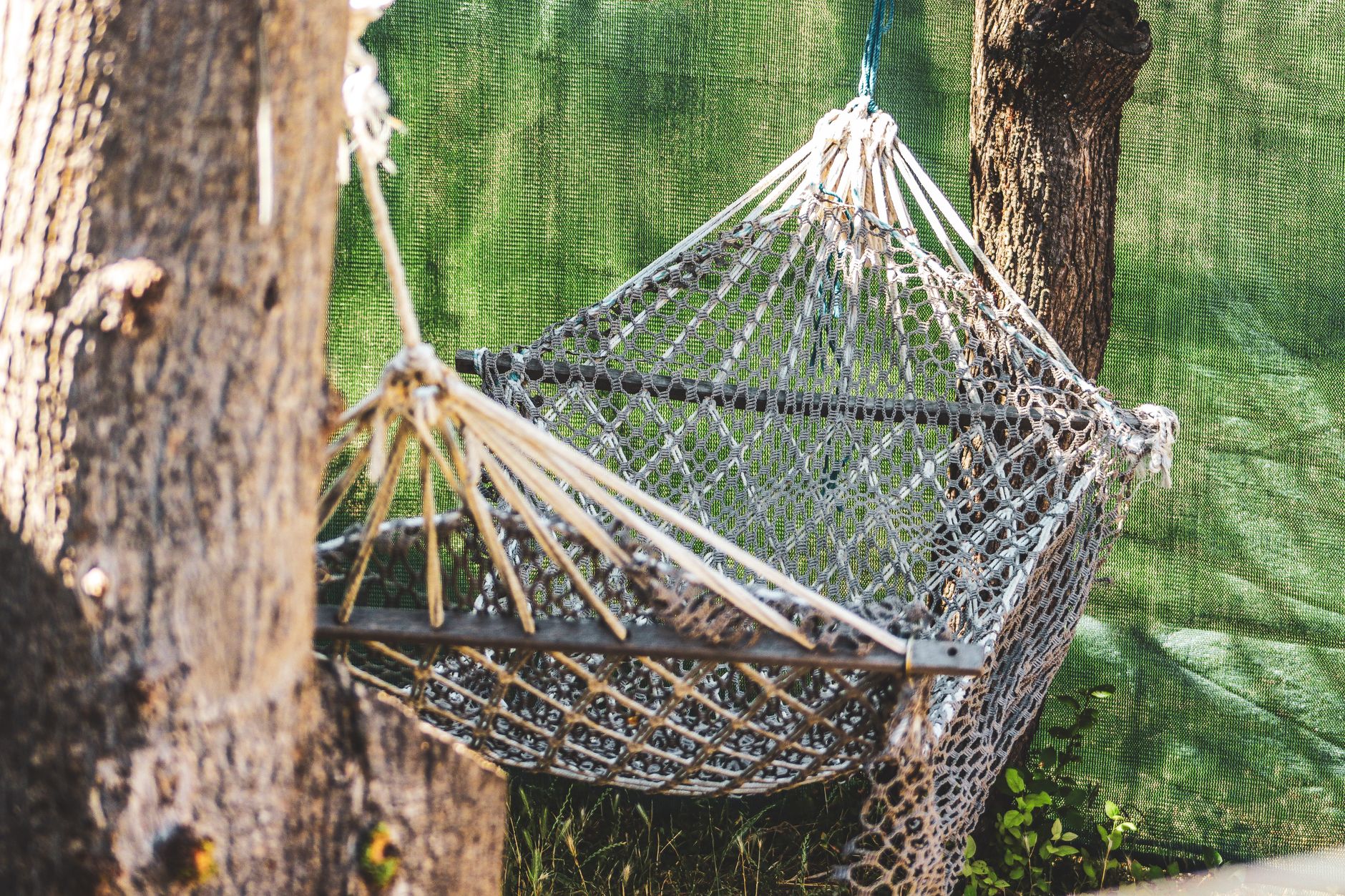 Best Hammock for Beginners 2026: Sleep Between the Trees Tonight