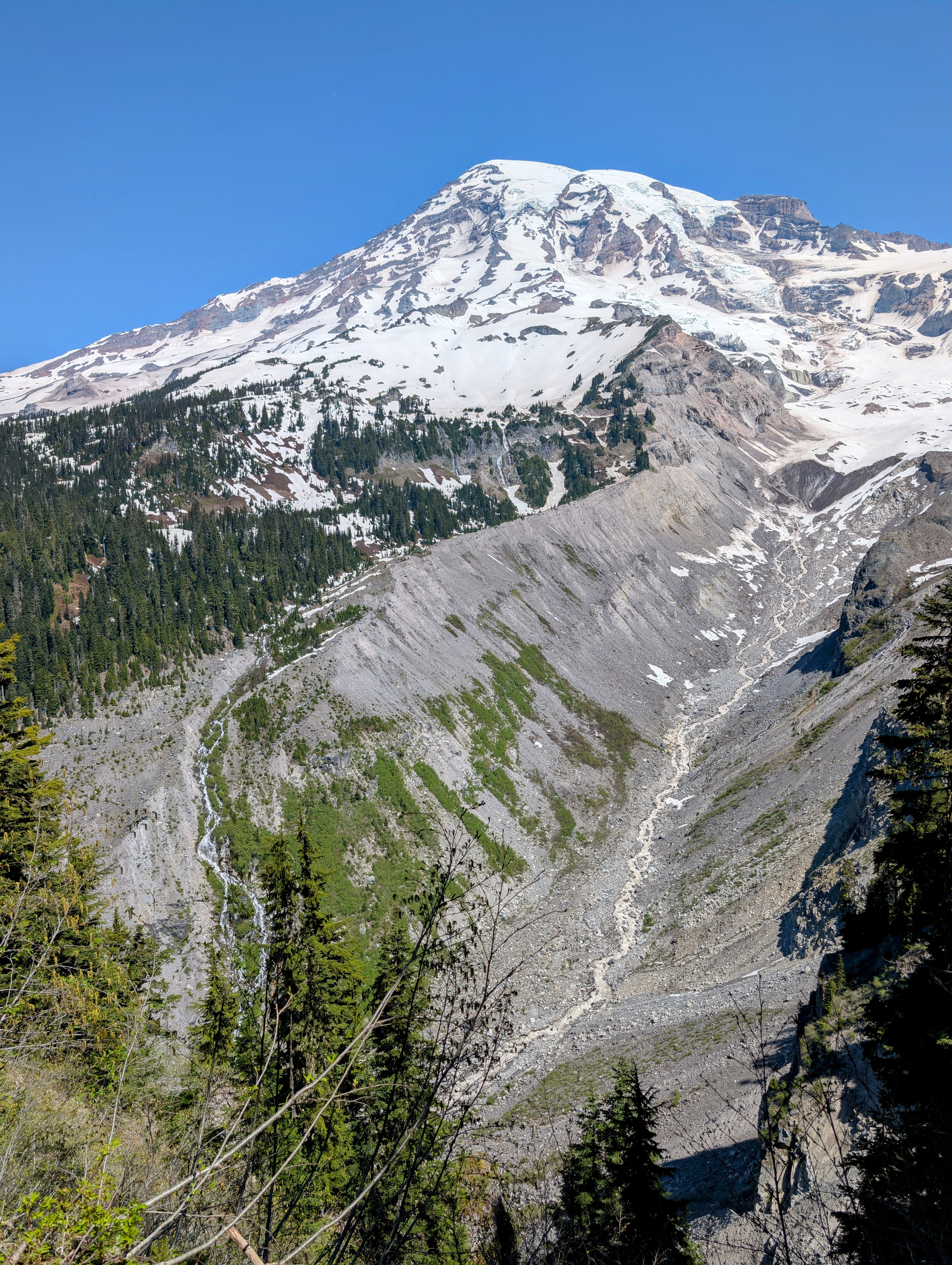 Mount Rainier, Skyline Trail