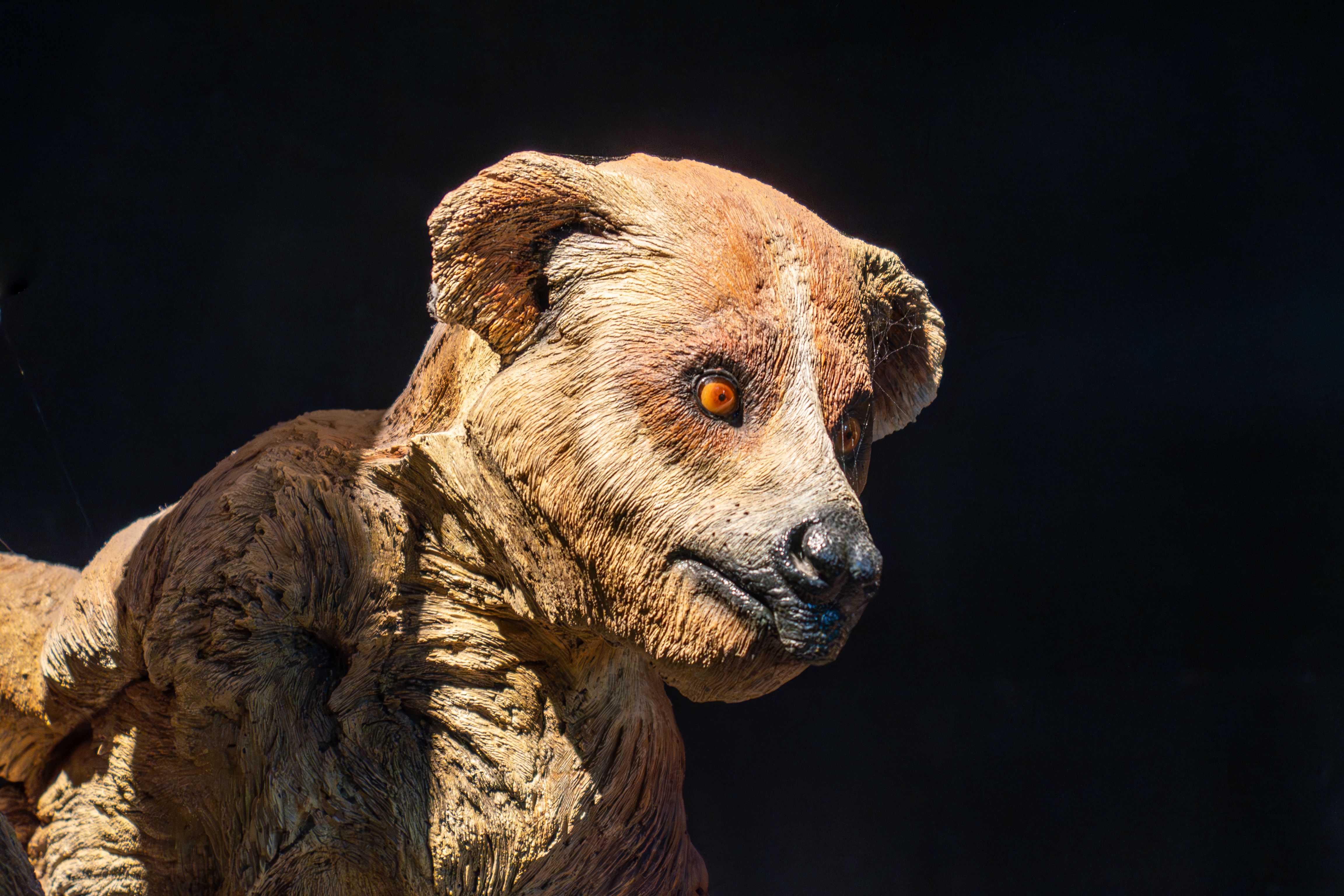 neanderthal