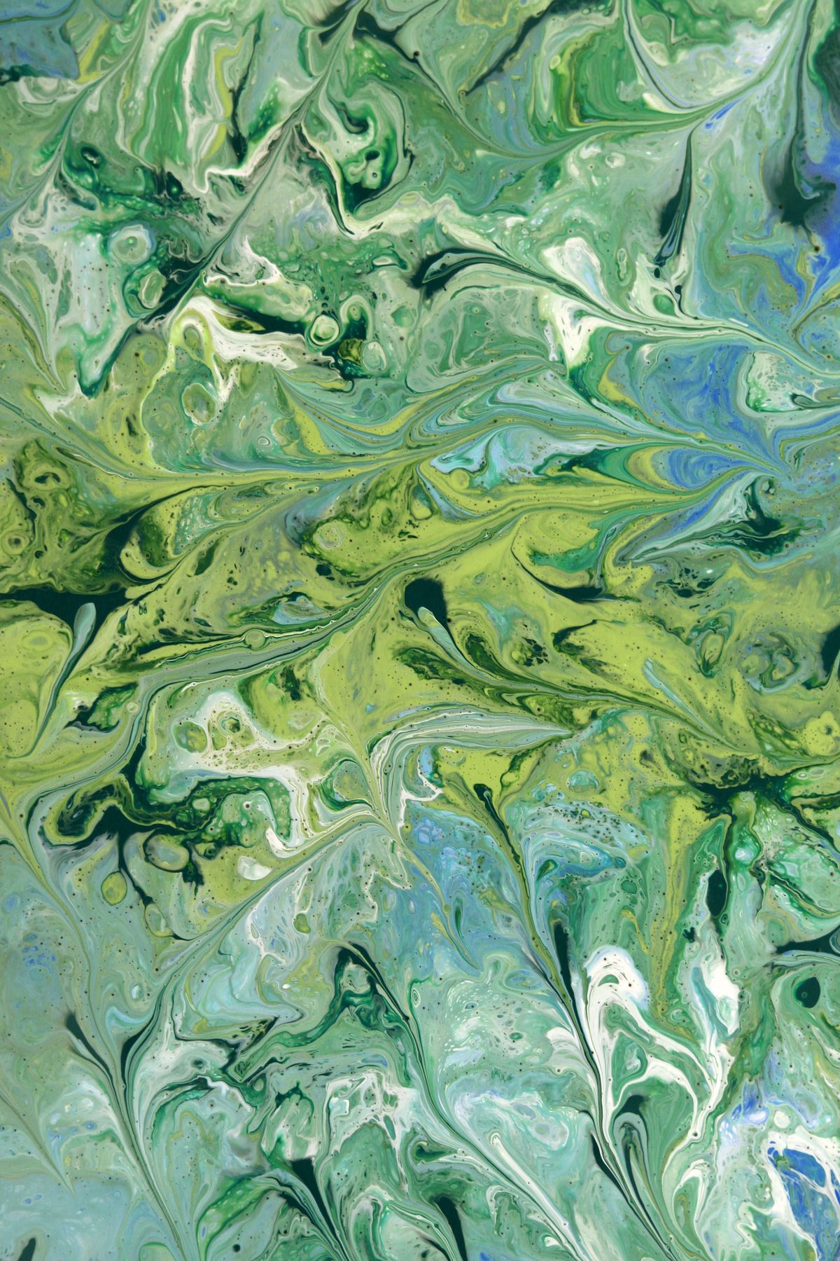 Green Art Photos, Download The BEST Free Green Art Stock Photos & HD Images