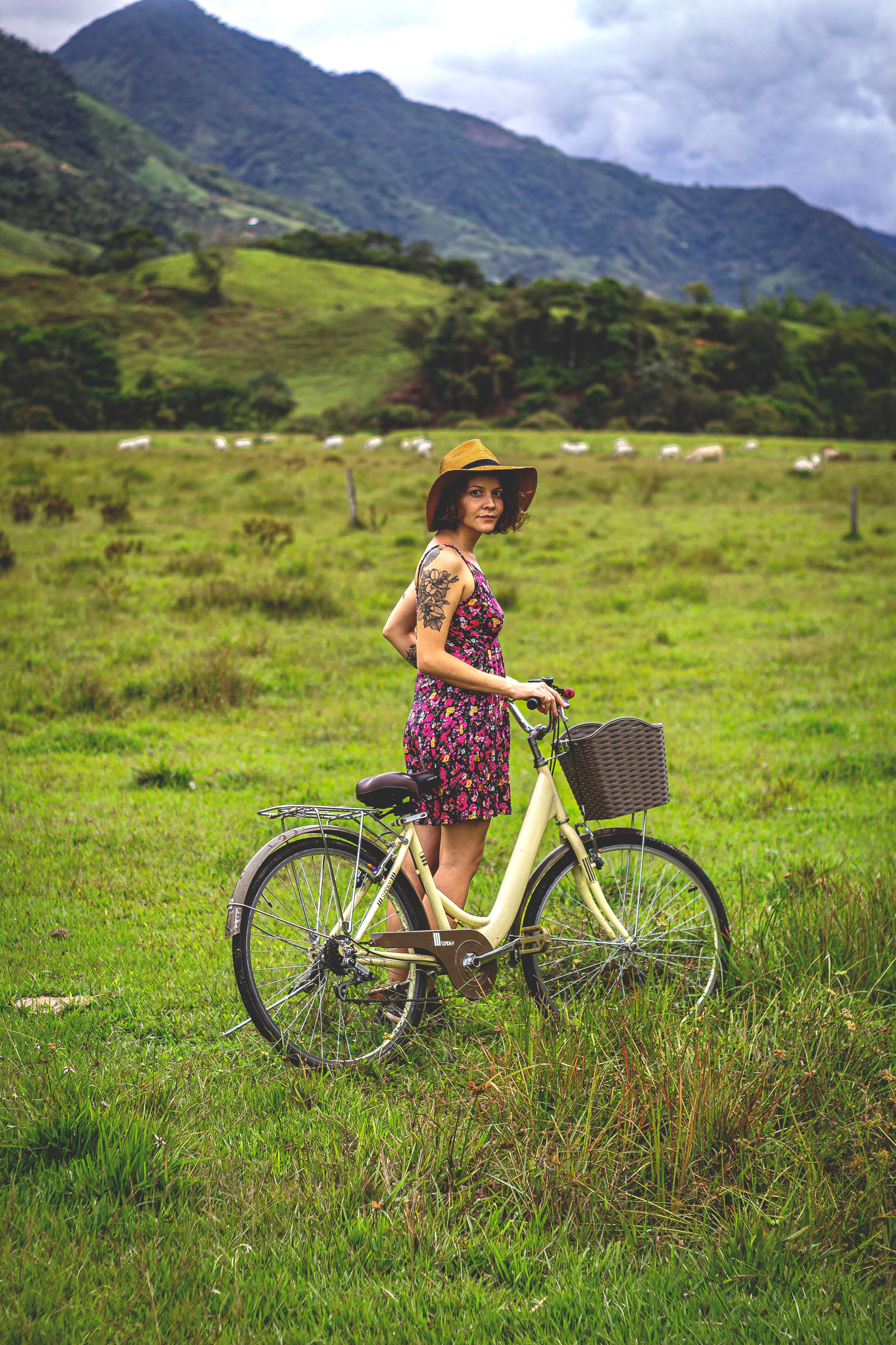 Woman Enjoying a Scenic Bicycle Ride in Nature · Free Stock Photo
