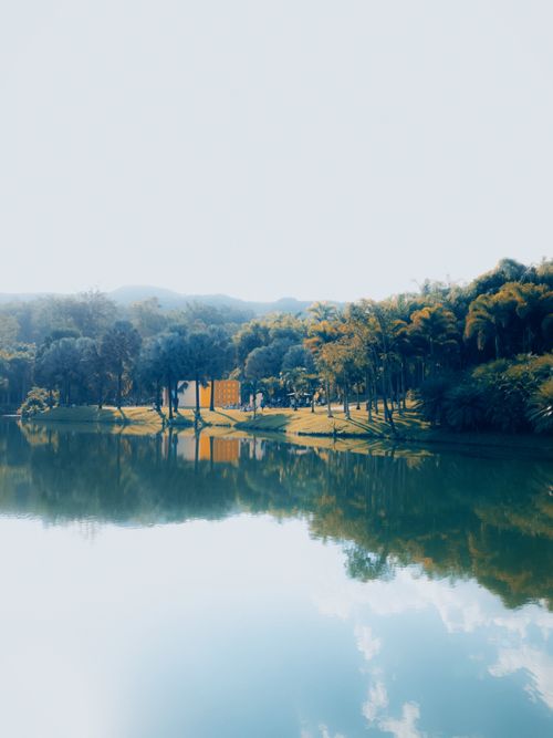 Free Peaceful view of Inhotim's lake with lush greenery and reflections, MG, Brazil. Stock Photo