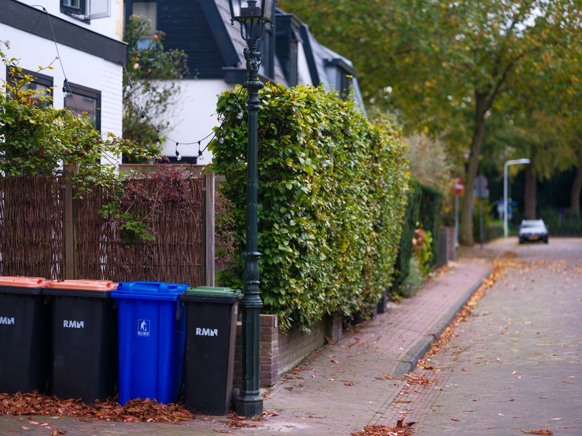 Reciclar en la Ciudad: Un Gesto para el Planeta