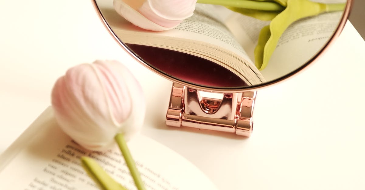 Janet回美國生活 遭小偷搬光家電 損失百萬心疼又無奈