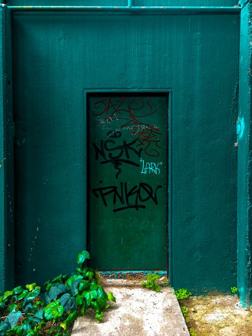 Free Vivid image of a graffiti-covered door in an emerald green alleyway, perfect for urban exploration themes. Stock Photo