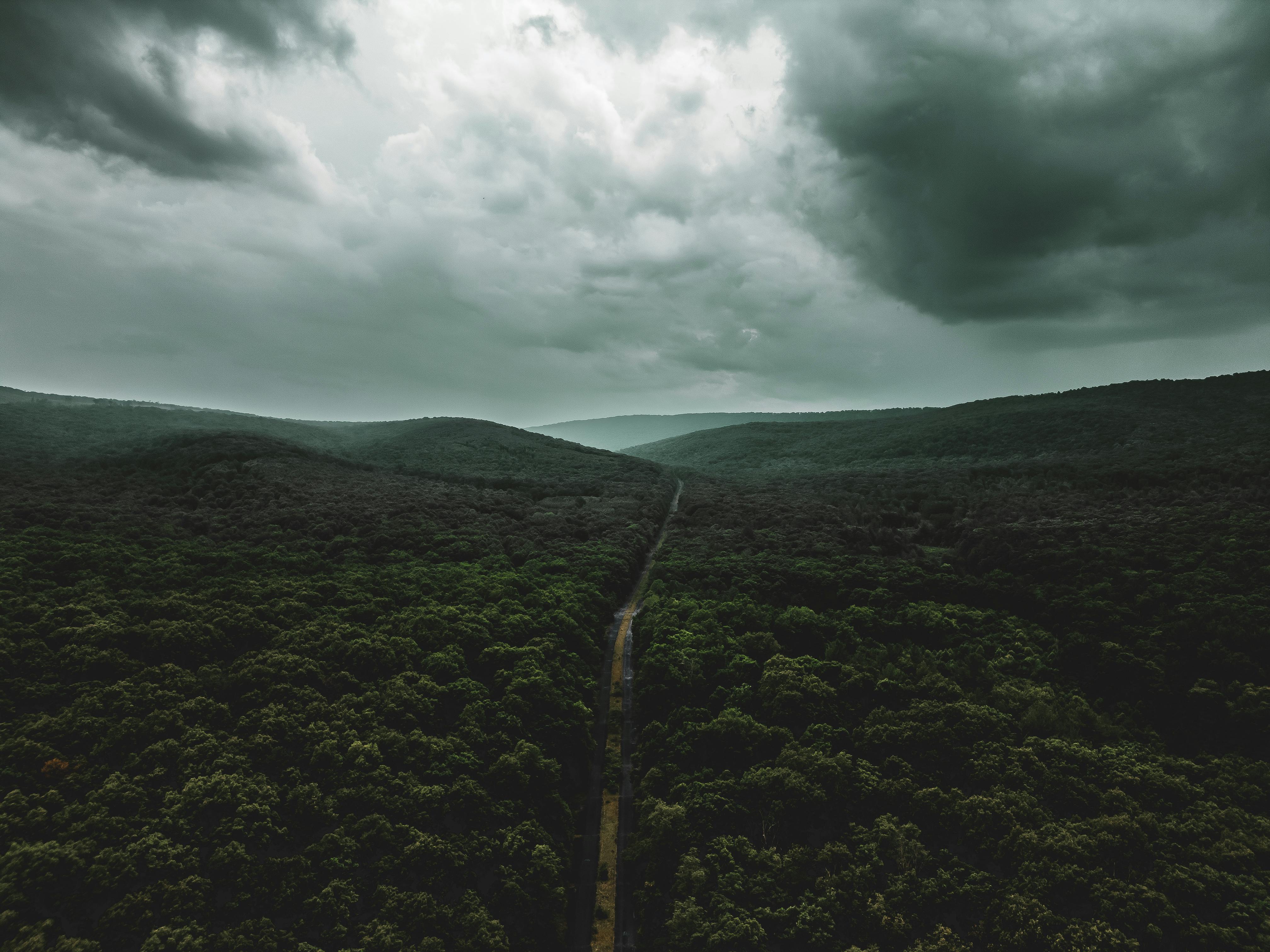 Unusual Stillness Before Rain