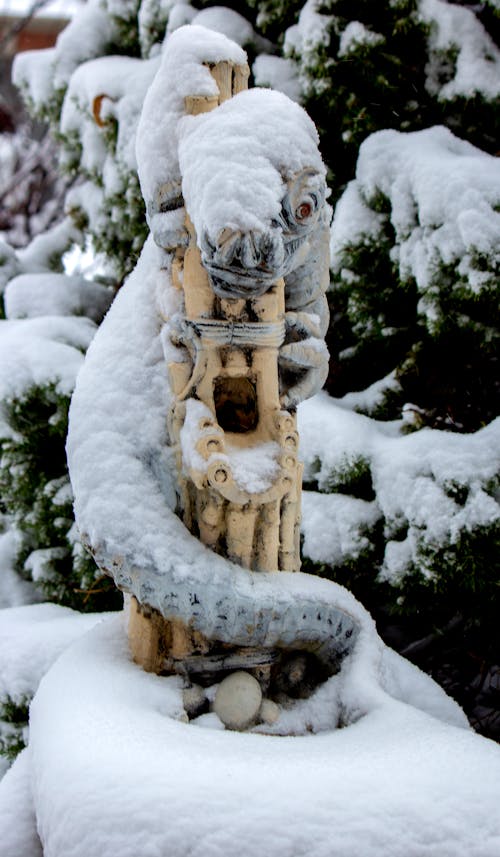 Безкоштовне стокове фото на тему «Дракон, зима, сніг»