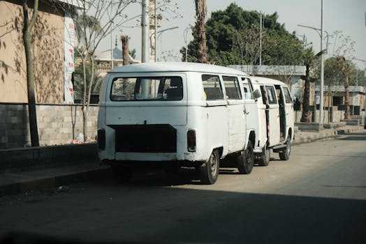 Rustic vintage vans parked in a row on a leafy Cairo street, depicting local transport.