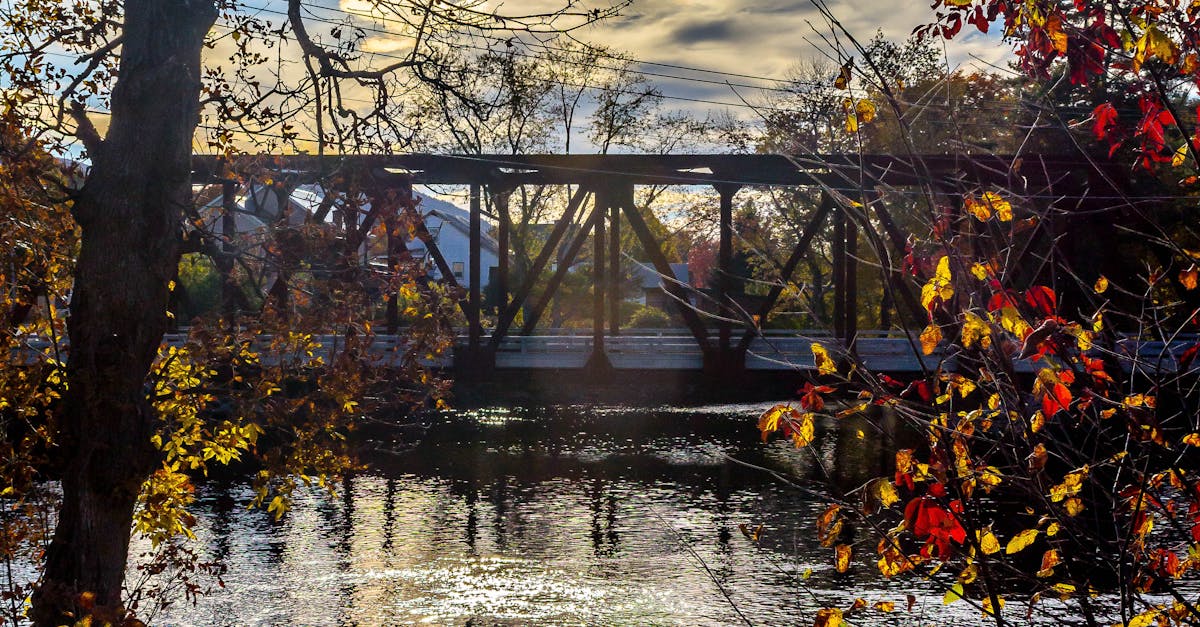 Free stock photo of autumn, autumn leaves, bridge