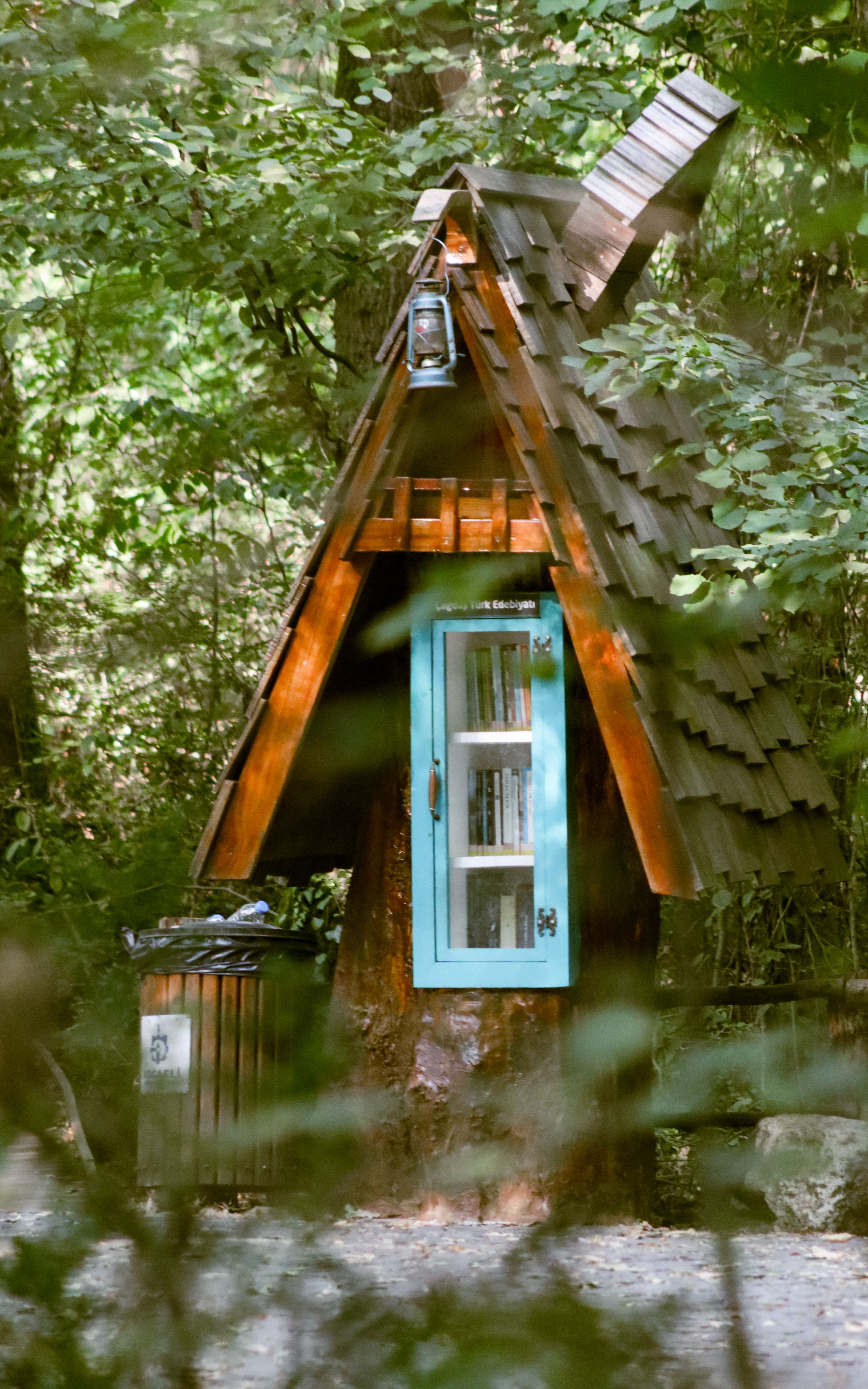A quaint wooden bookshelf in a forest setting, offering a fairytale vibe.