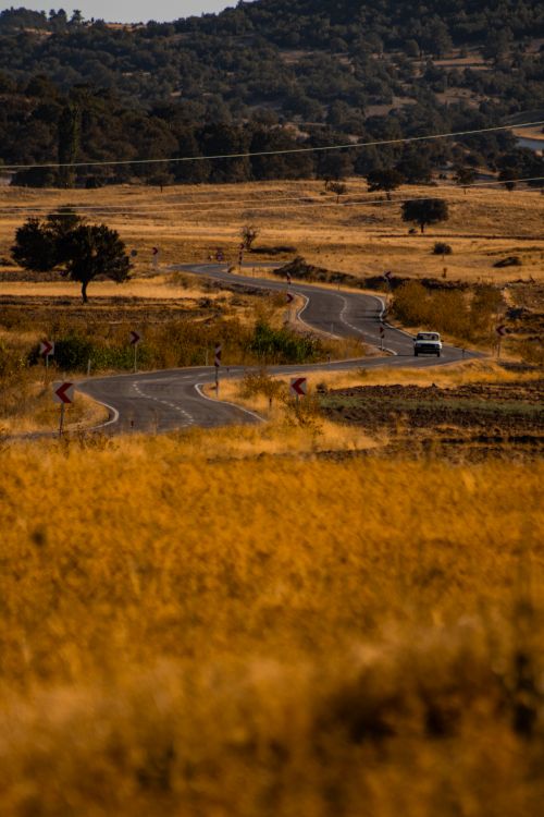 Free A scenic winding road curves through a golden, summer countryside landscape with distant hills. Stock Photo