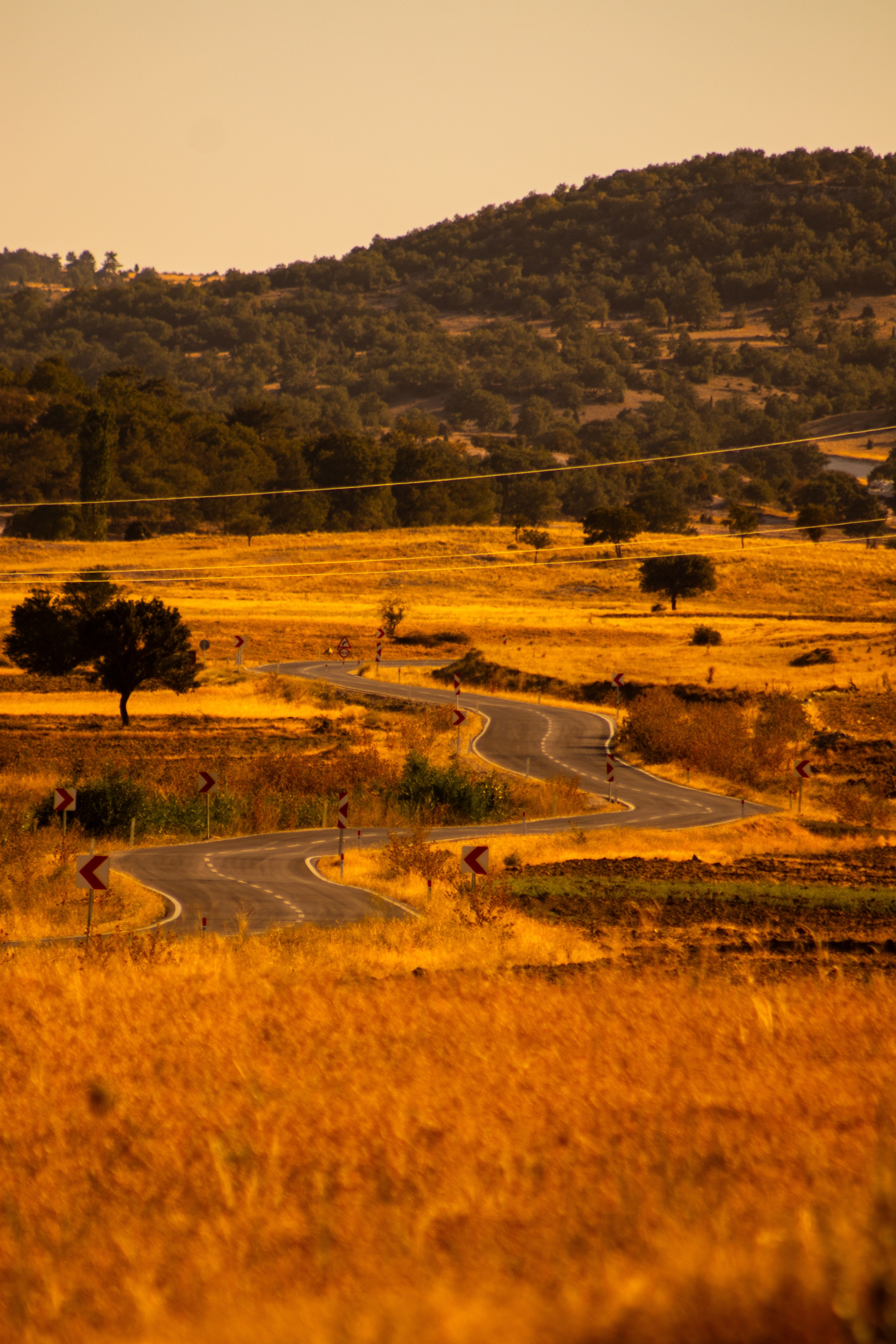 Winding Country Road in Golden Sunset Landscape · Free Stock Photo