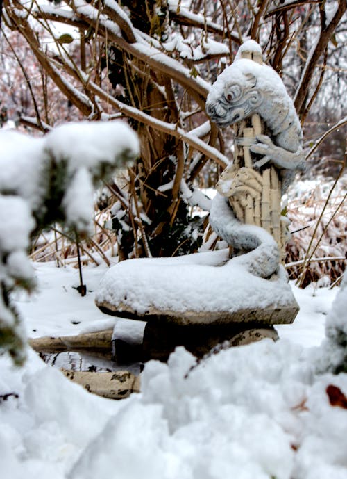 Безкоштовне стокове фото на тему «водяний фонтан, Дракон, зима»