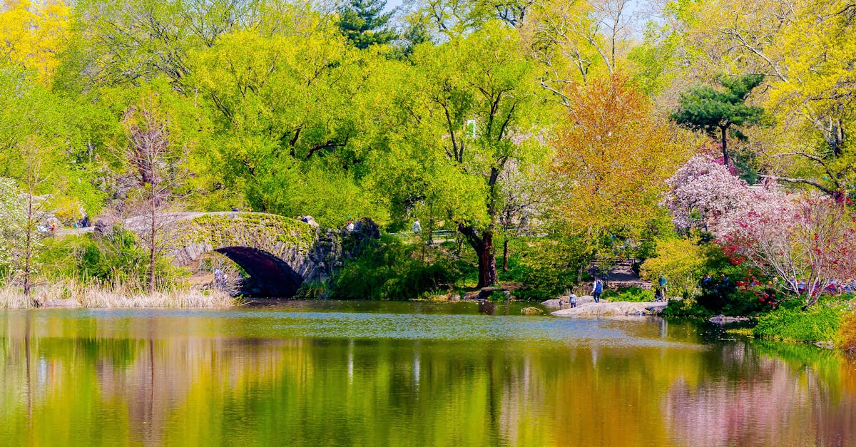 Free stock photo of bridge, central park, Gapstow Bridge