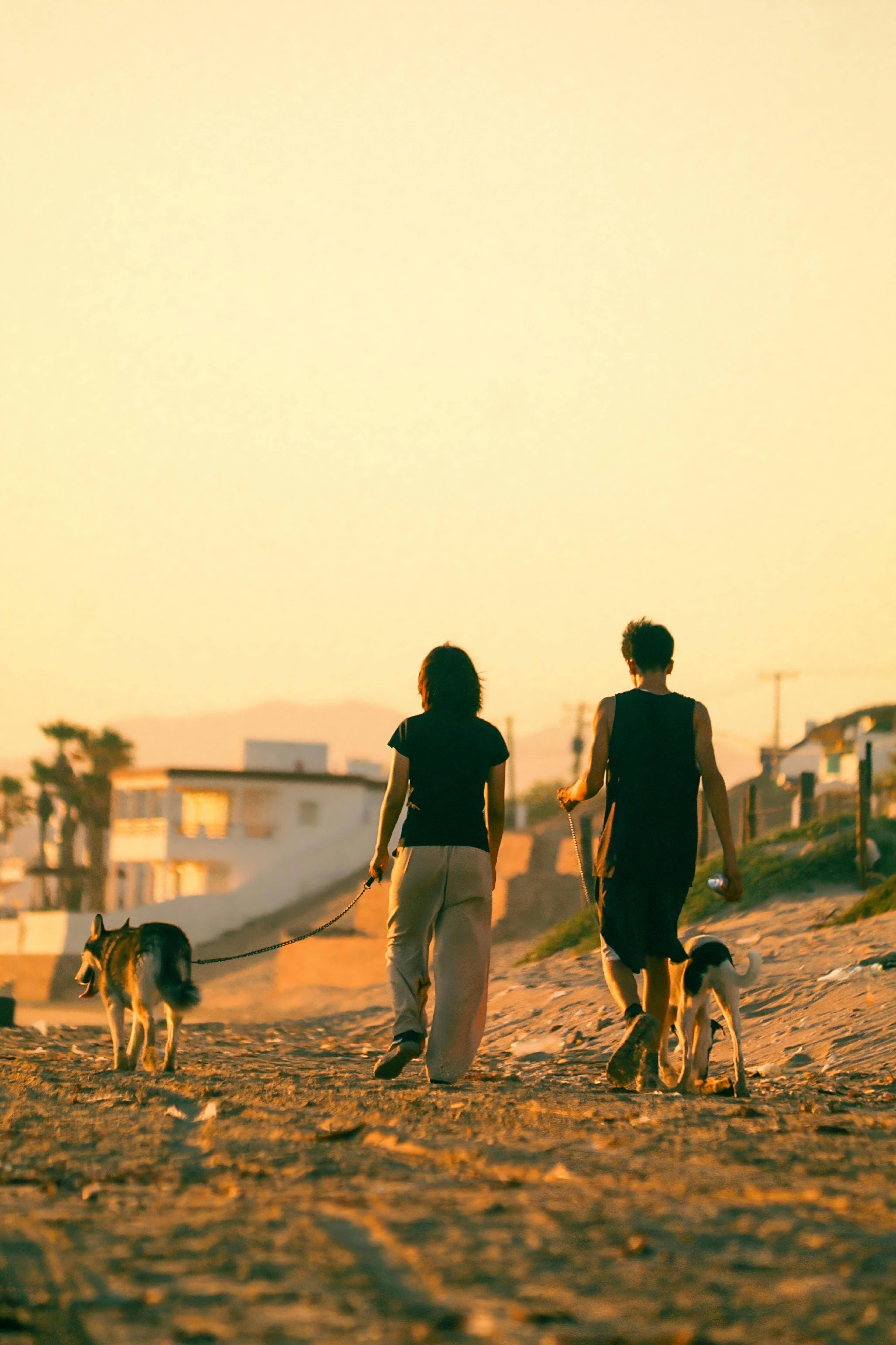 A couple strolls with their dogs on a beach in Bahía de Kino during a warm, golden sunset.
