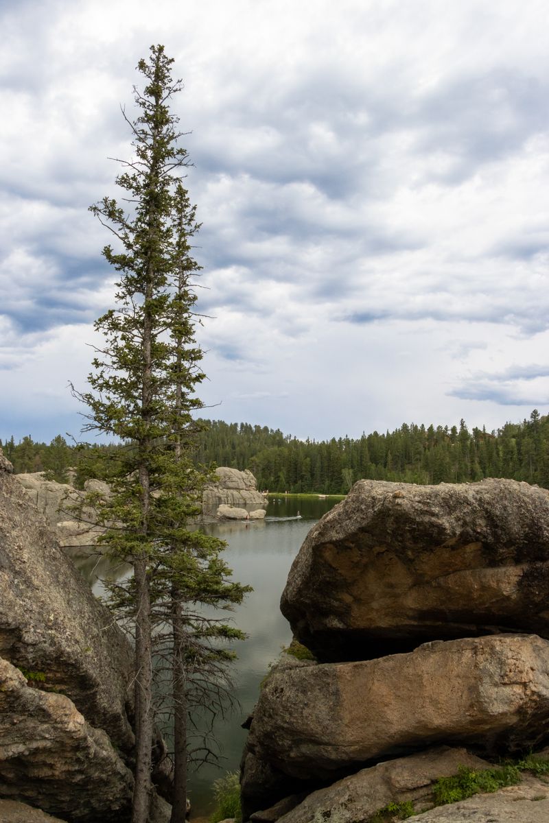 Local Sylvan Lake Scenery