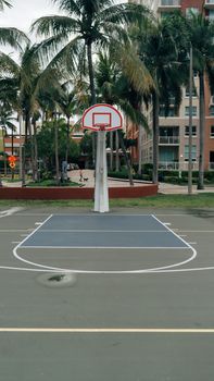 A basketball hoop on an outdoor court surrounded by palm trees, perfect for sports themes.
