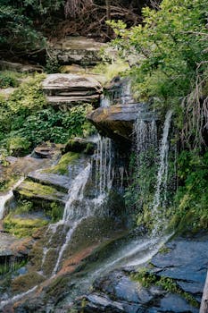 A serene waterfall cascading over mossy rocks surrounded by vibrant greenery in nature.