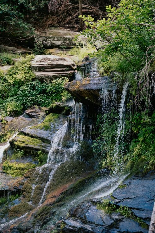 Free A serene waterfall cascading over mossy rocks surrounded by vibrant greenery in nature. Stock Photo