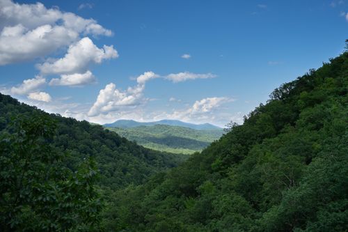 Free Captivating view of lush green Blue Ridge Mountains under a vibrant sky. Stock Photo