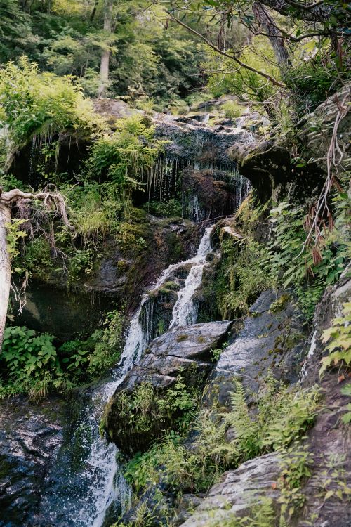 Free Beautiful cascading waterfall surrounded by lush greenery and rocks in serene forest setting. Stock Photo