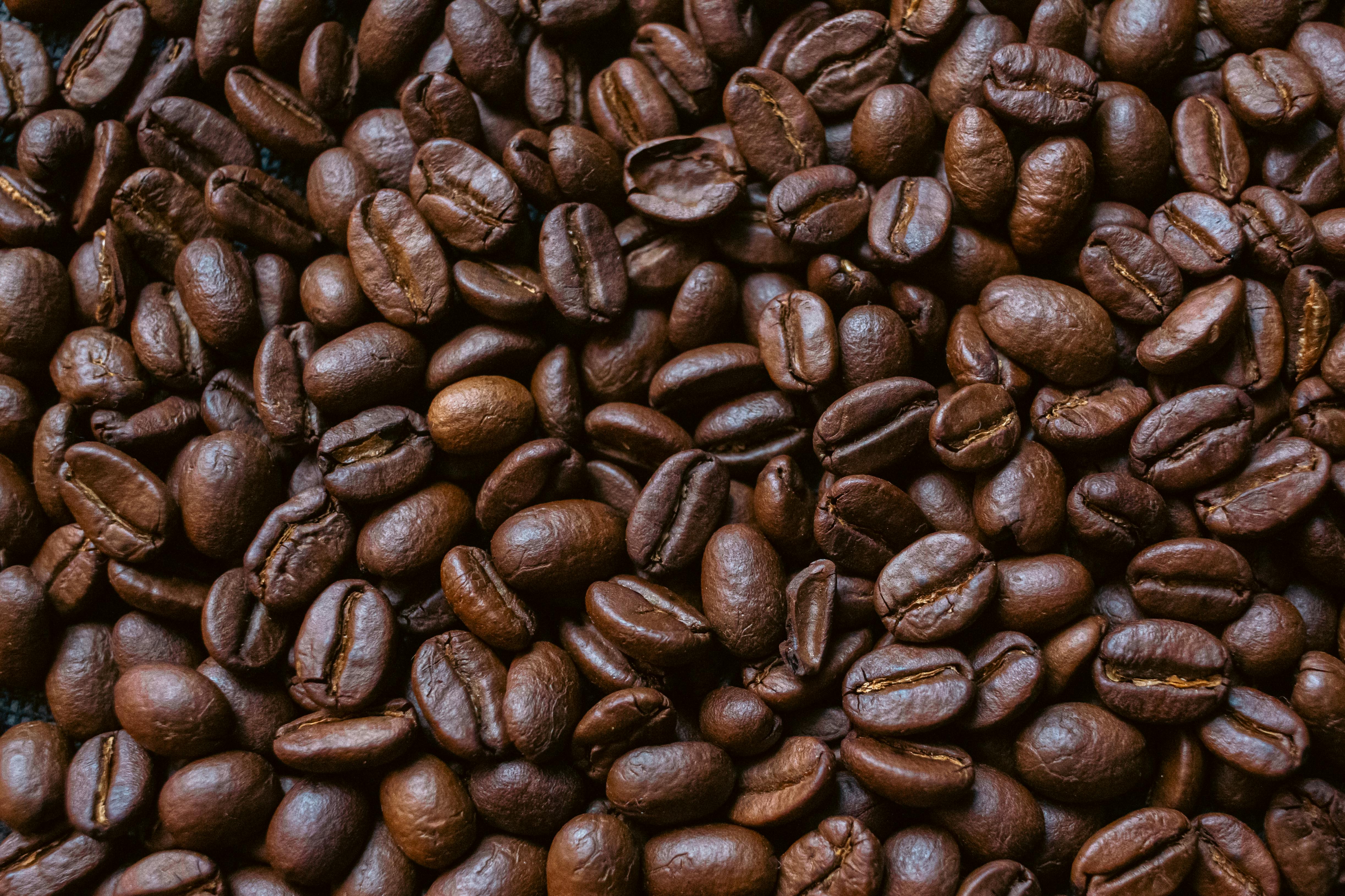 Hot Coffee In Mug With Coffee Beans In The Background Photos Download