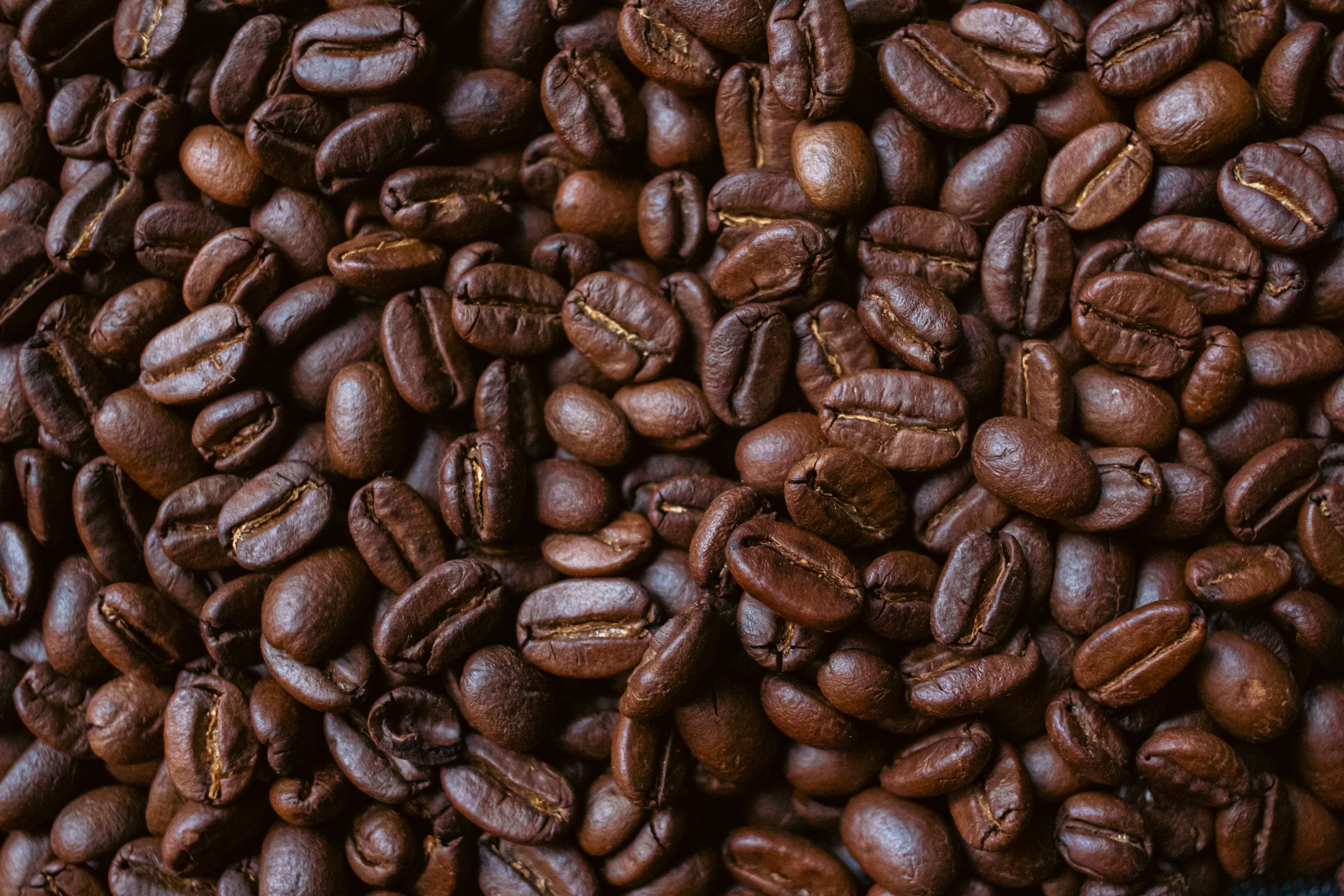 Colombia Huila Finca El Diviso