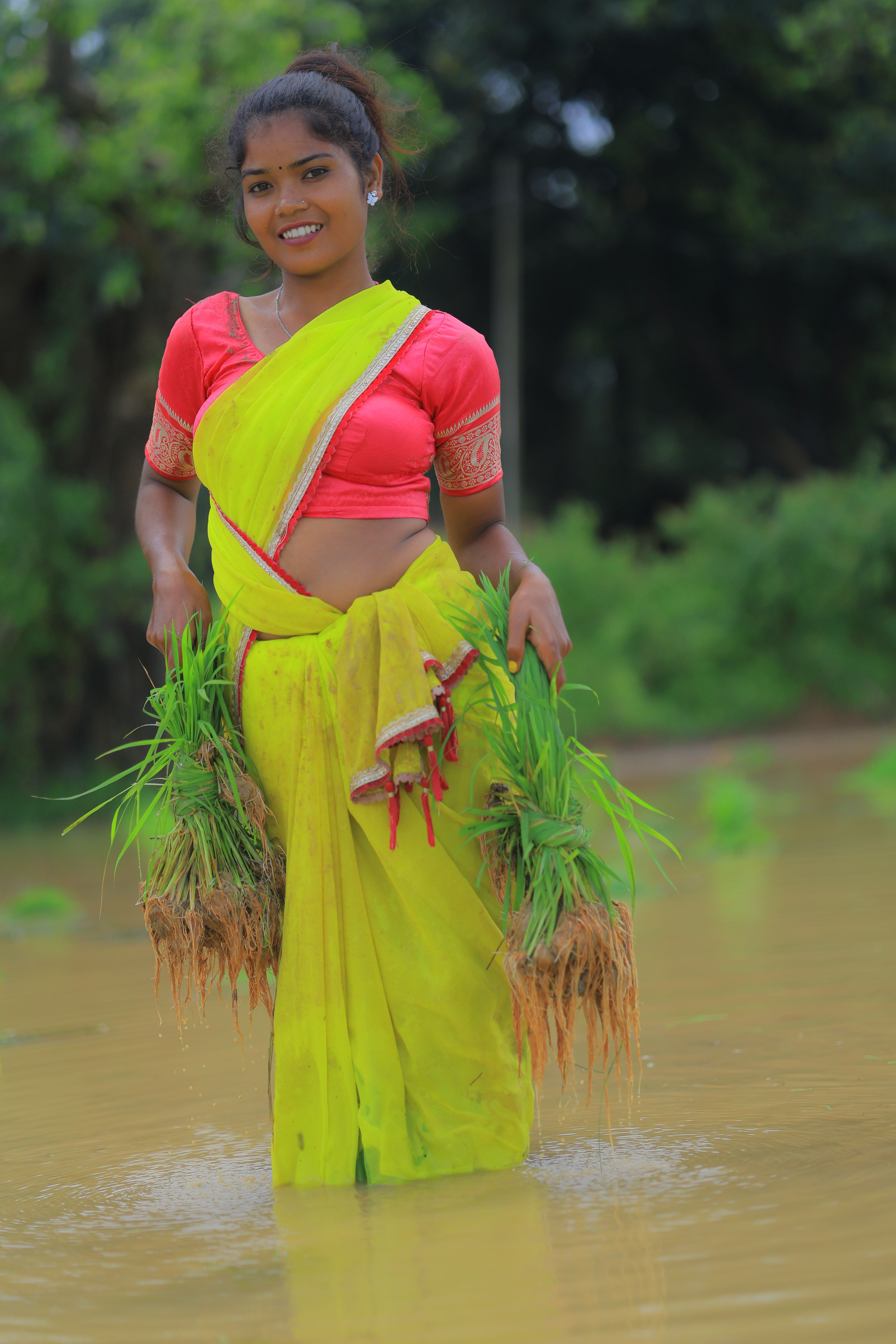 A woman in vibrant attire planting rice in a flooded paddy field, showcasing traditional farming.