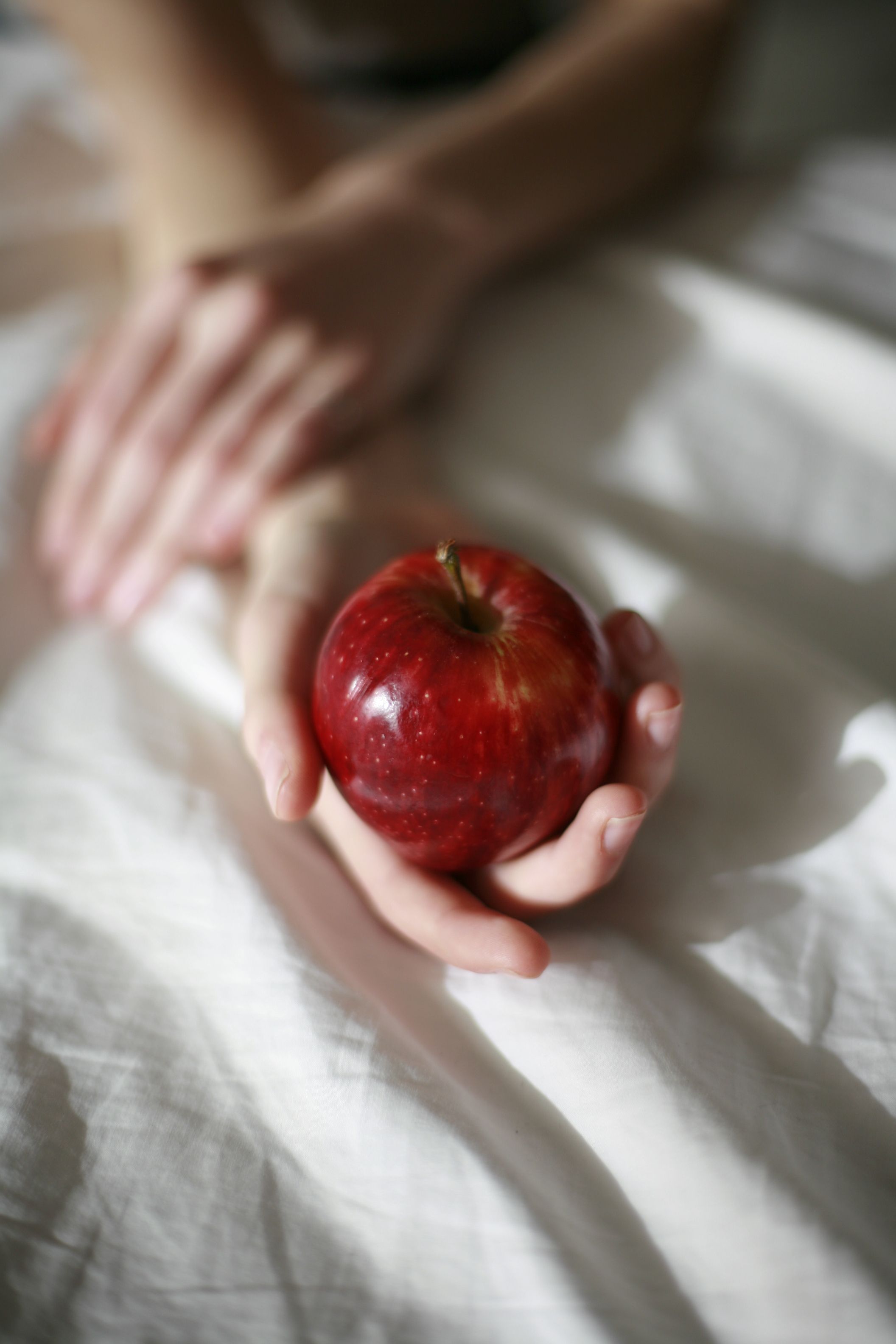 A close-up shot of a hand gently holding a red apple on a white fabric background.