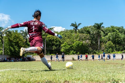 Goalkeeper kicks ball during outdoor soccer match on sunny day.