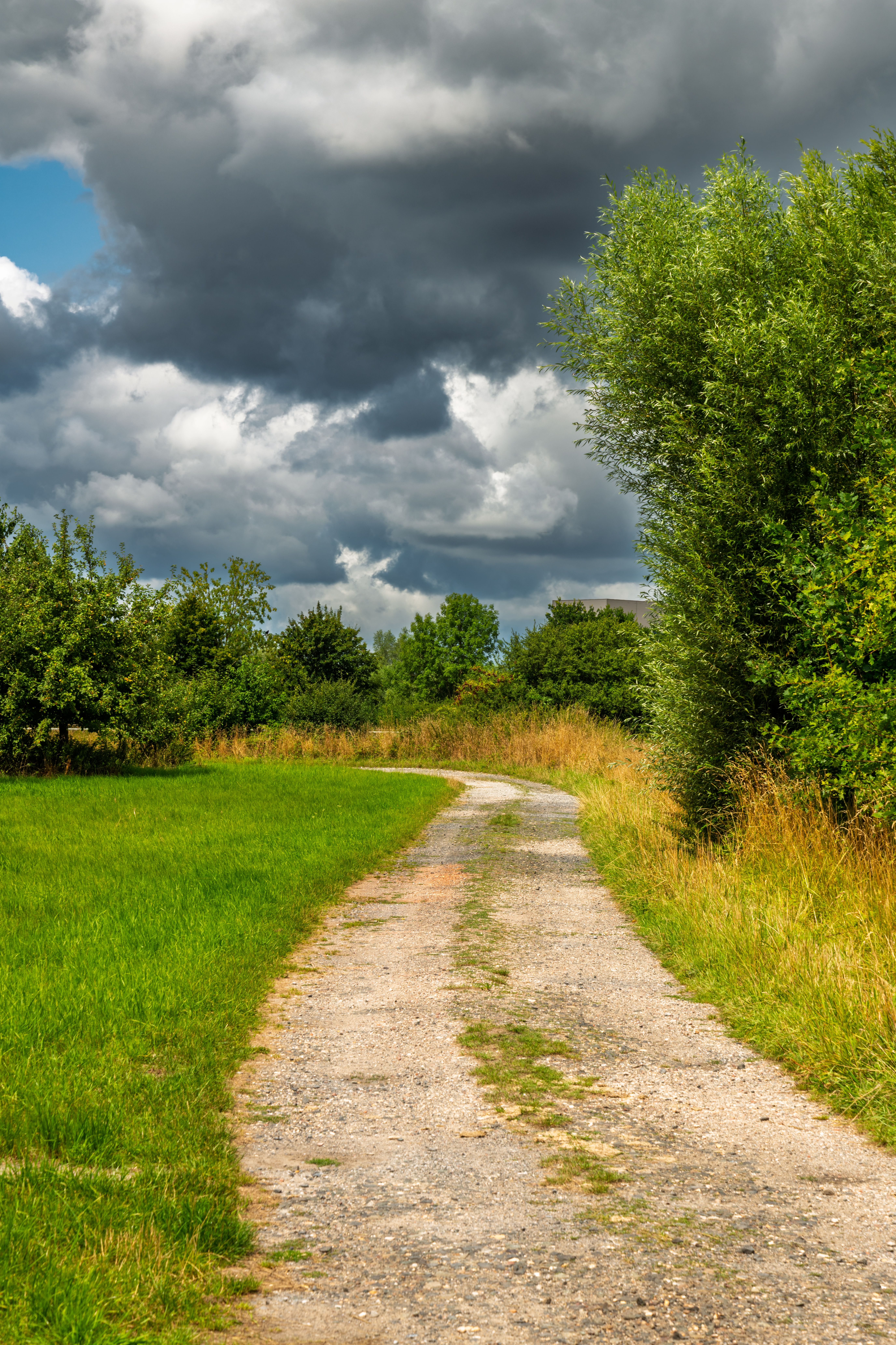 Rural Pathway Under Dramatic Cloudy Sky · Free Stock Photo