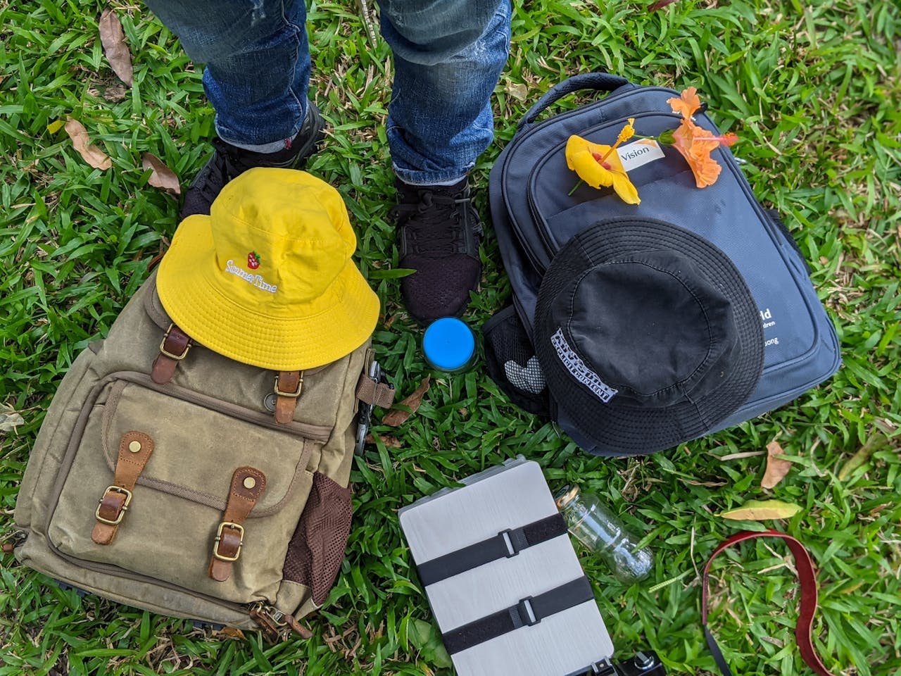 Khởi đầu của sự sống