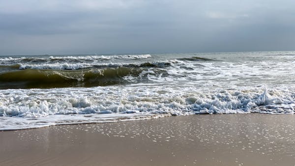 Trung tâm nghiên cứu văn học, phát triển nhà văn Việt Nam