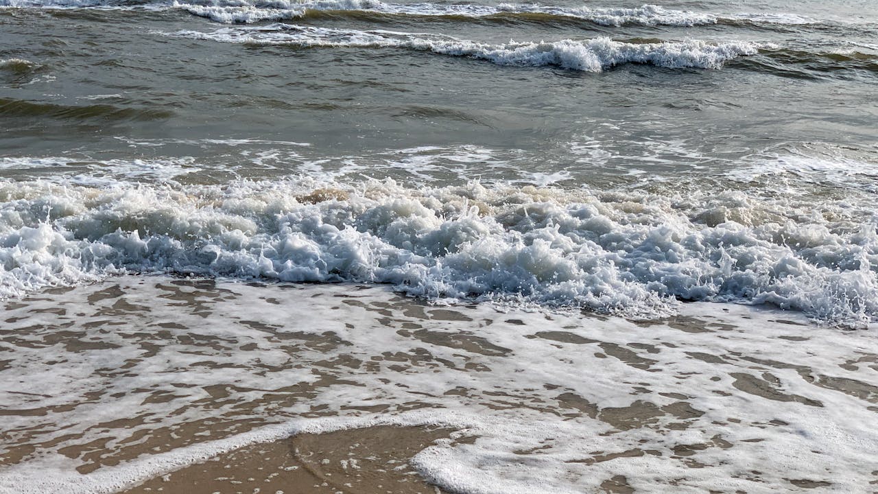 Làm thế nào để mọi người tin vào fake news?