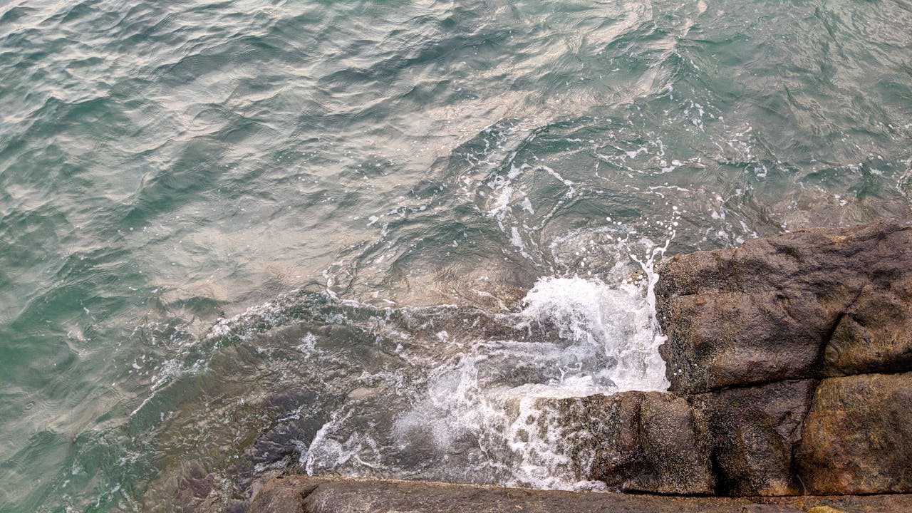 Nhật thực, nguyệt thực khiến động vật kỳ lạ